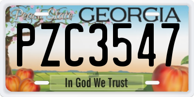 GA license plate PZC3547