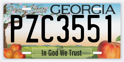 GA license plate PZC3551