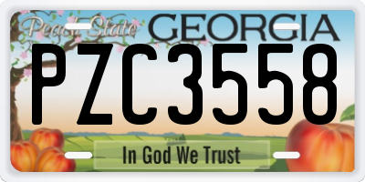 GA license plate PZC3558