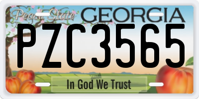 GA license plate PZC3565