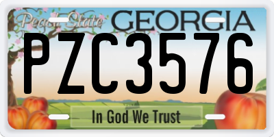 GA license plate PZC3576