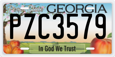 GA license plate PZC3579