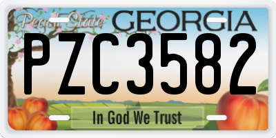 GA license plate PZC3582