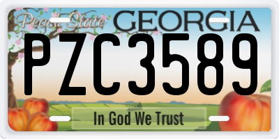 GA license plate PZC3589