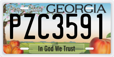 GA license plate PZC3591