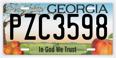 GA license plate PZC3598