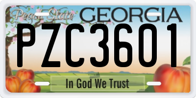 GA license plate PZC3601
