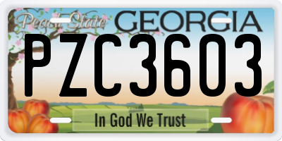 GA license plate PZC3603