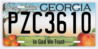 GA license plate PZC3610