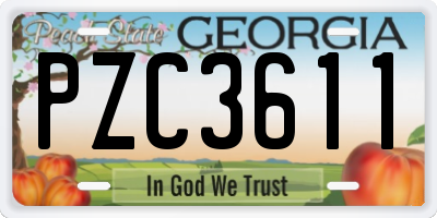 GA license plate PZC3611