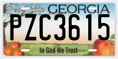 GA license plate PZC3615