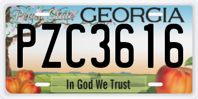 GA license plate PZC3616