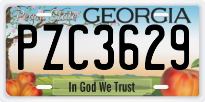 GA license plate PZC3629