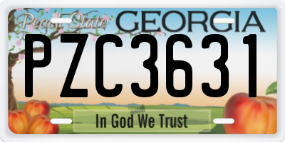 GA license plate PZC3631