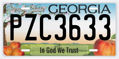 GA license plate PZC3633