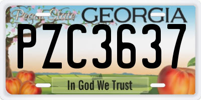 GA license plate PZC3637