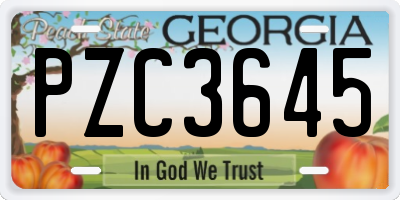 GA license plate PZC3645