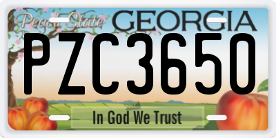 GA license plate PZC3650