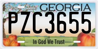 GA license plate PZC3655