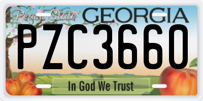GA license plate PZC3660