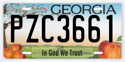 GA license plate PZC3661