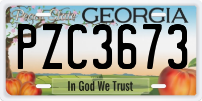 GA license plate PZC3673