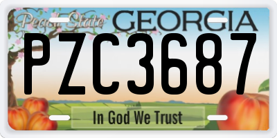 GA license plate PZC3687