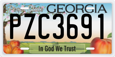 GA license plate PZC3691