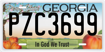 GA license plate PZC3699
