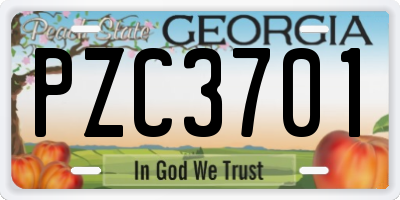 GA license plate PZC3701