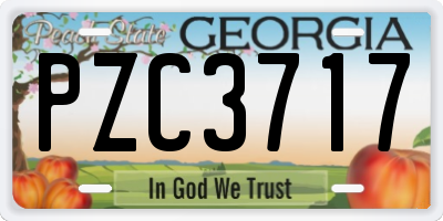 GA license plate PZC3717