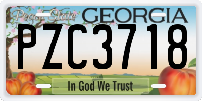 GA license plate PZC3718