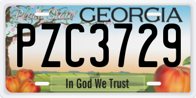 GA license plate PZC3729