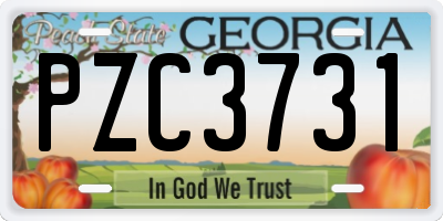 GA license plate PZC3731