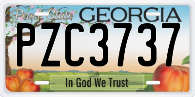 GA license plate PZC3737