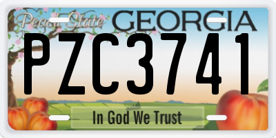 GA license plate PZC3741