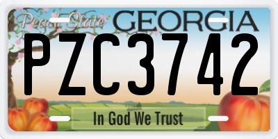 GA license plate PZC3742