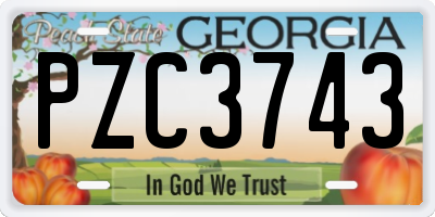 GA license plate PZC3743