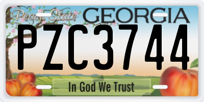 GA license plate PZC3744
