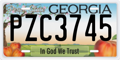 GA license plate PZC3745