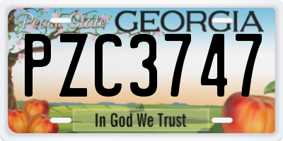 GA license plate PZC3747