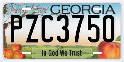 GA license plate PZC3750