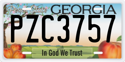 GA license plate PZC3757