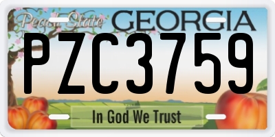 GA license plate PZC3759