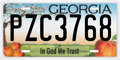 GA license plate PZC3768