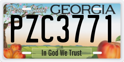 GA license plate PZC3771