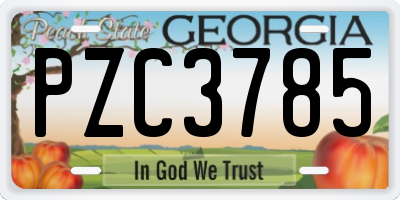 GA license plate PZC3785