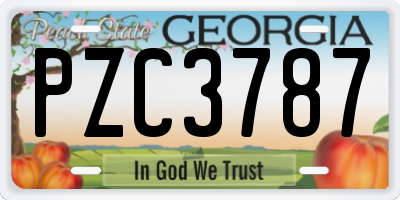 GA license plate PZC3787