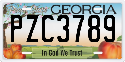 GA license plate PZC3789