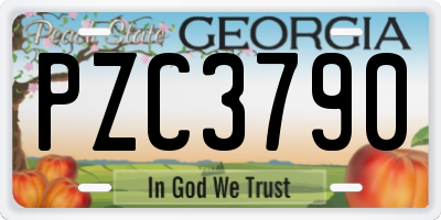 GA license plate PZC3790
